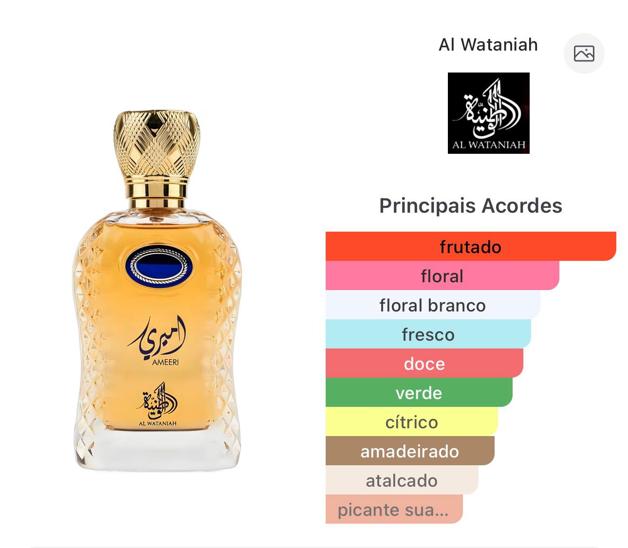 Ameeri - Al Wataniah - EDP 100ml